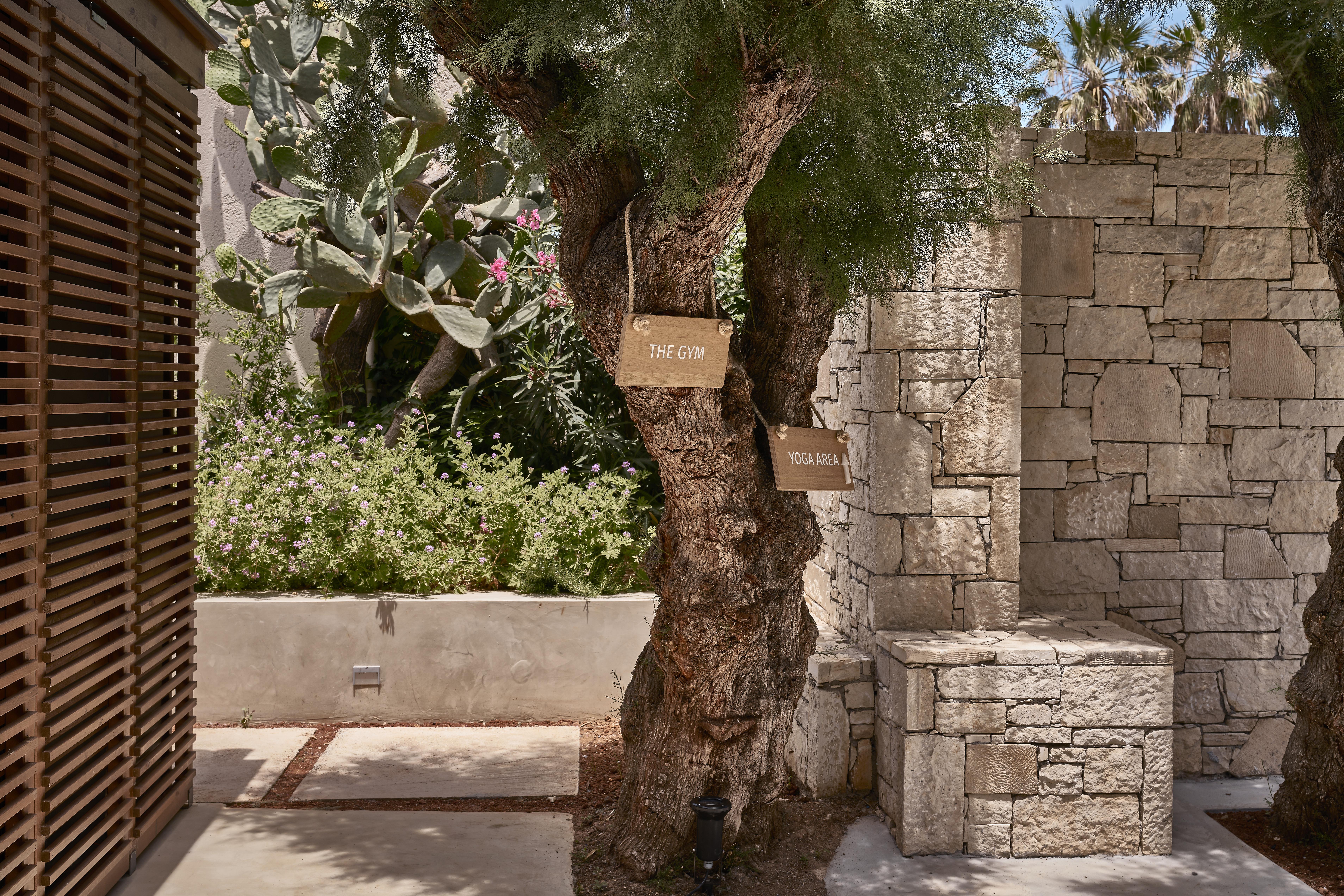 Phaea Cretan Malia, A Member Of Design Hotels Ngoại thất bức ảnh